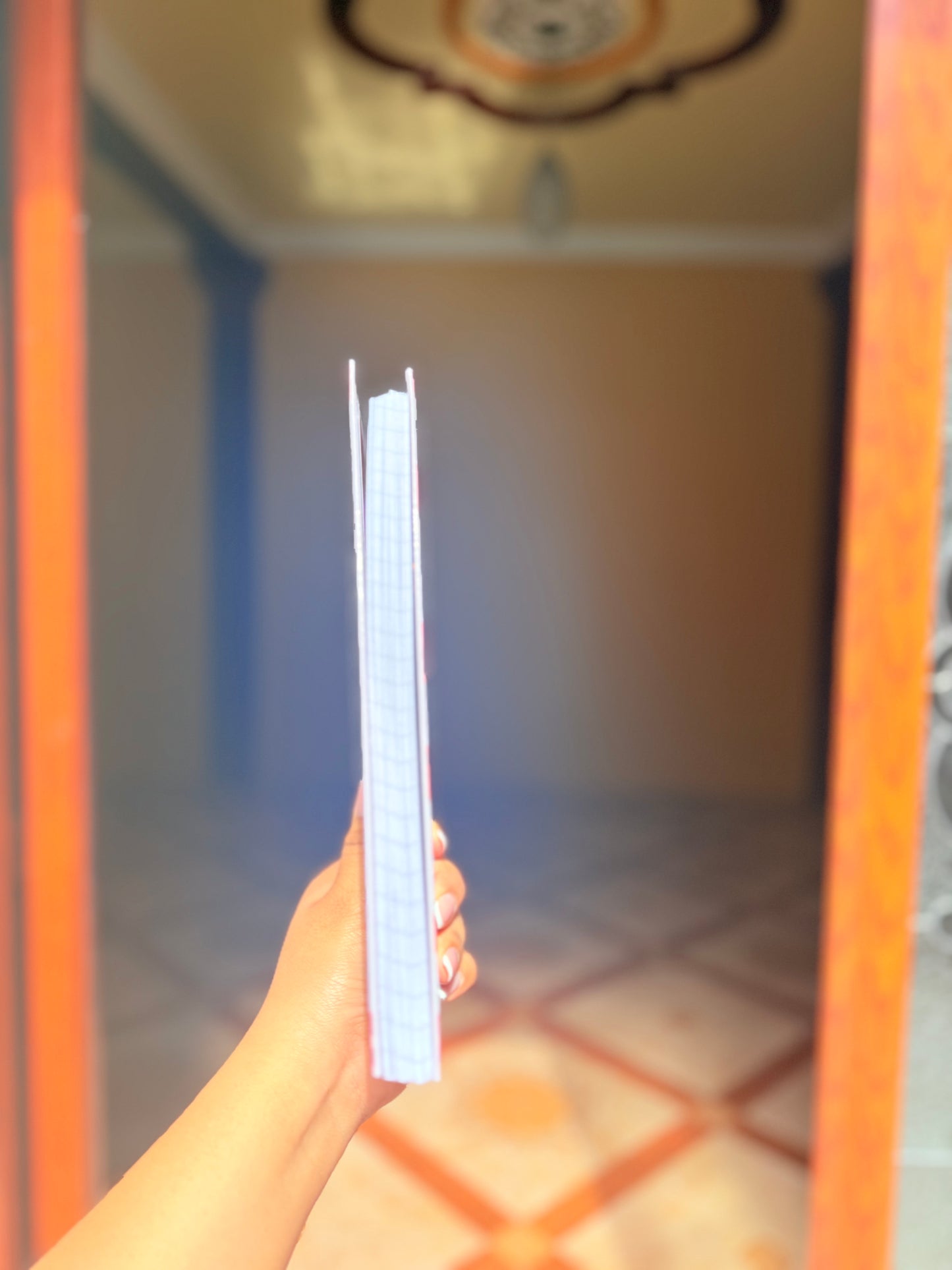 Piggy Collection Notebook