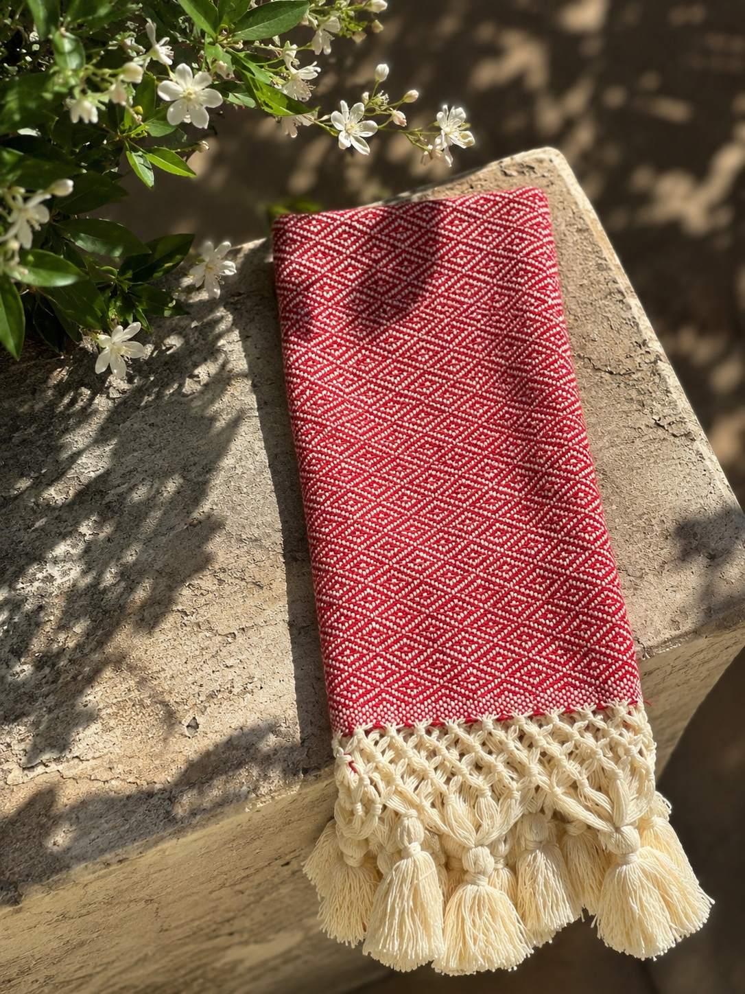 Red Everyday Napkin