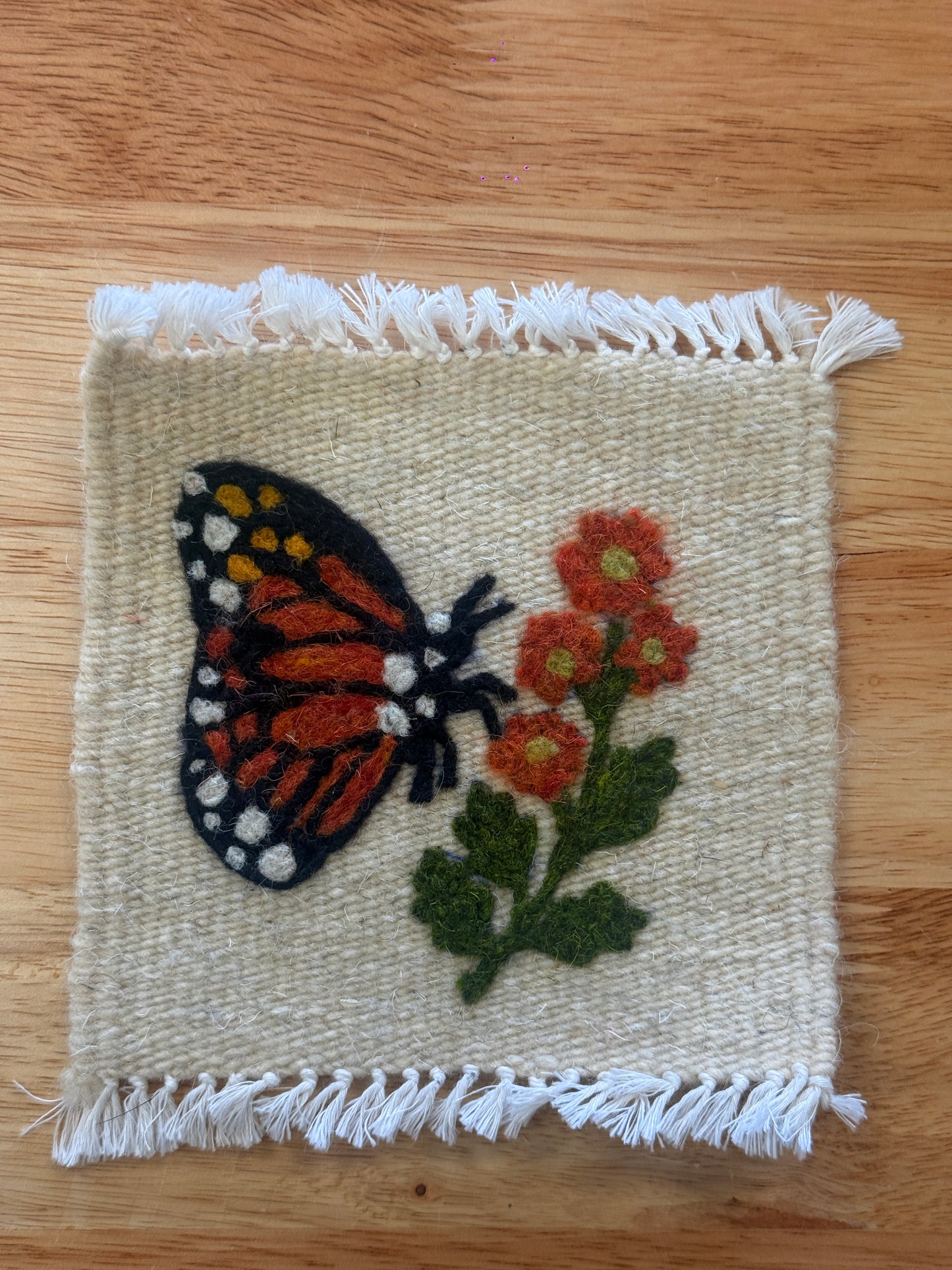 Mariposa Coaster