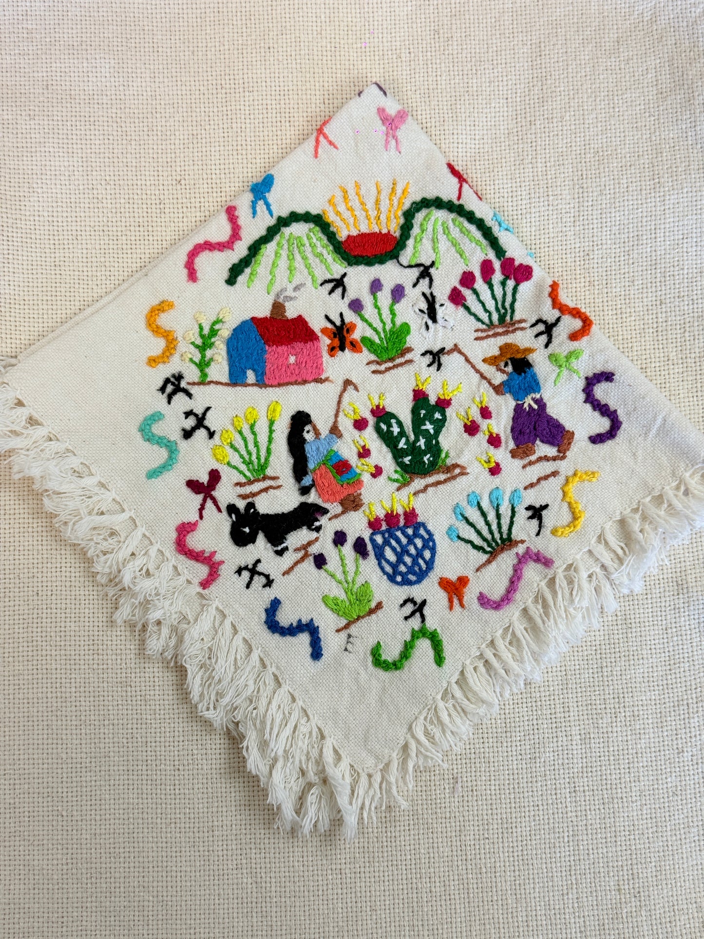 “Dia en el Rancho” Historia Napkin