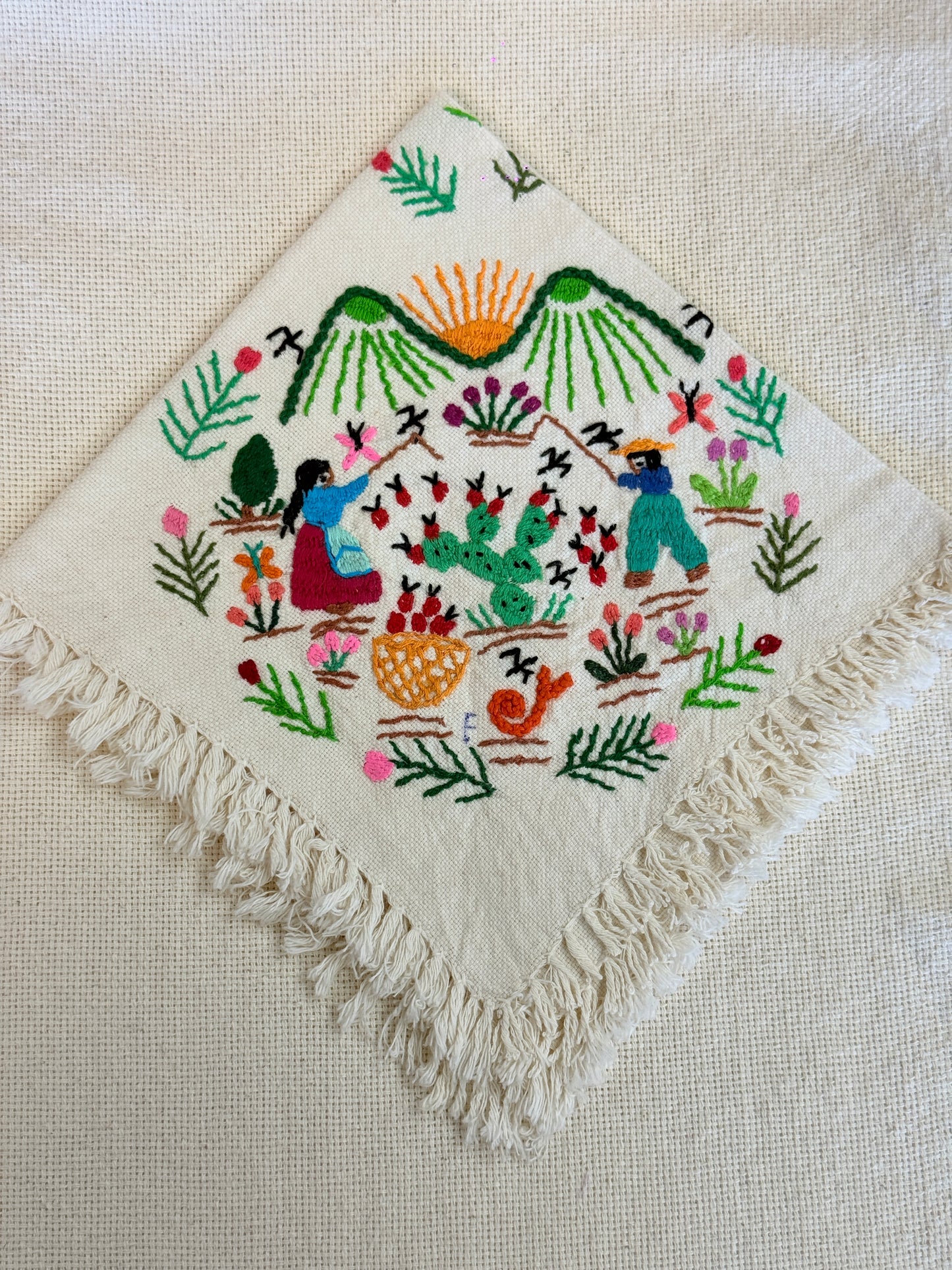 “Dia de Sembra” Historia Napkin
