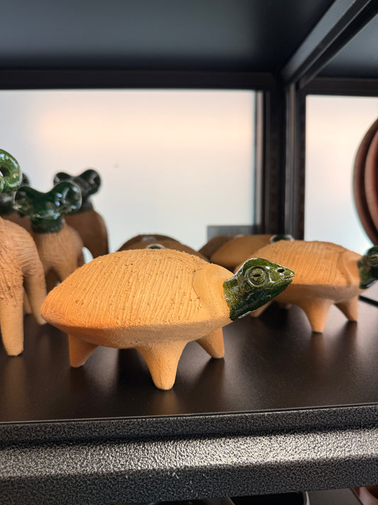 Tortuga Chia