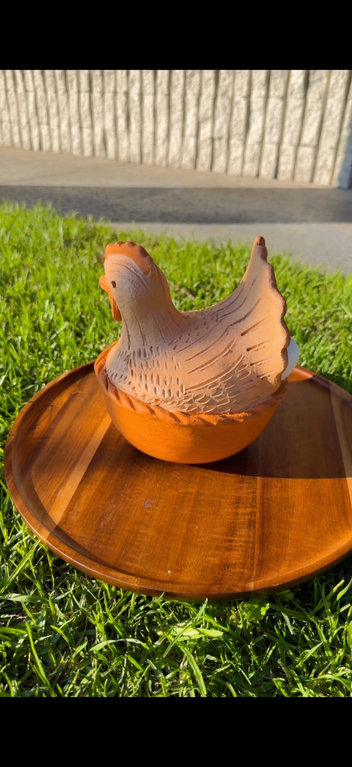 Gallina Mediana 9.5"