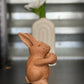 Basketball Bunny Decor