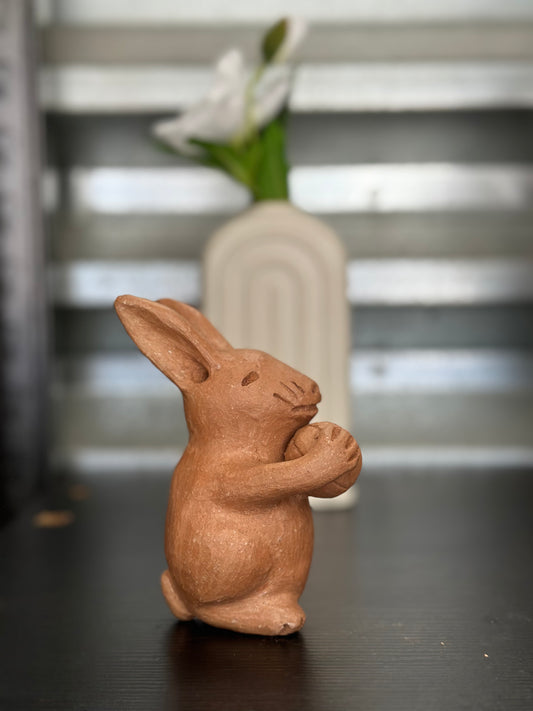 Basketball Bunny Decor