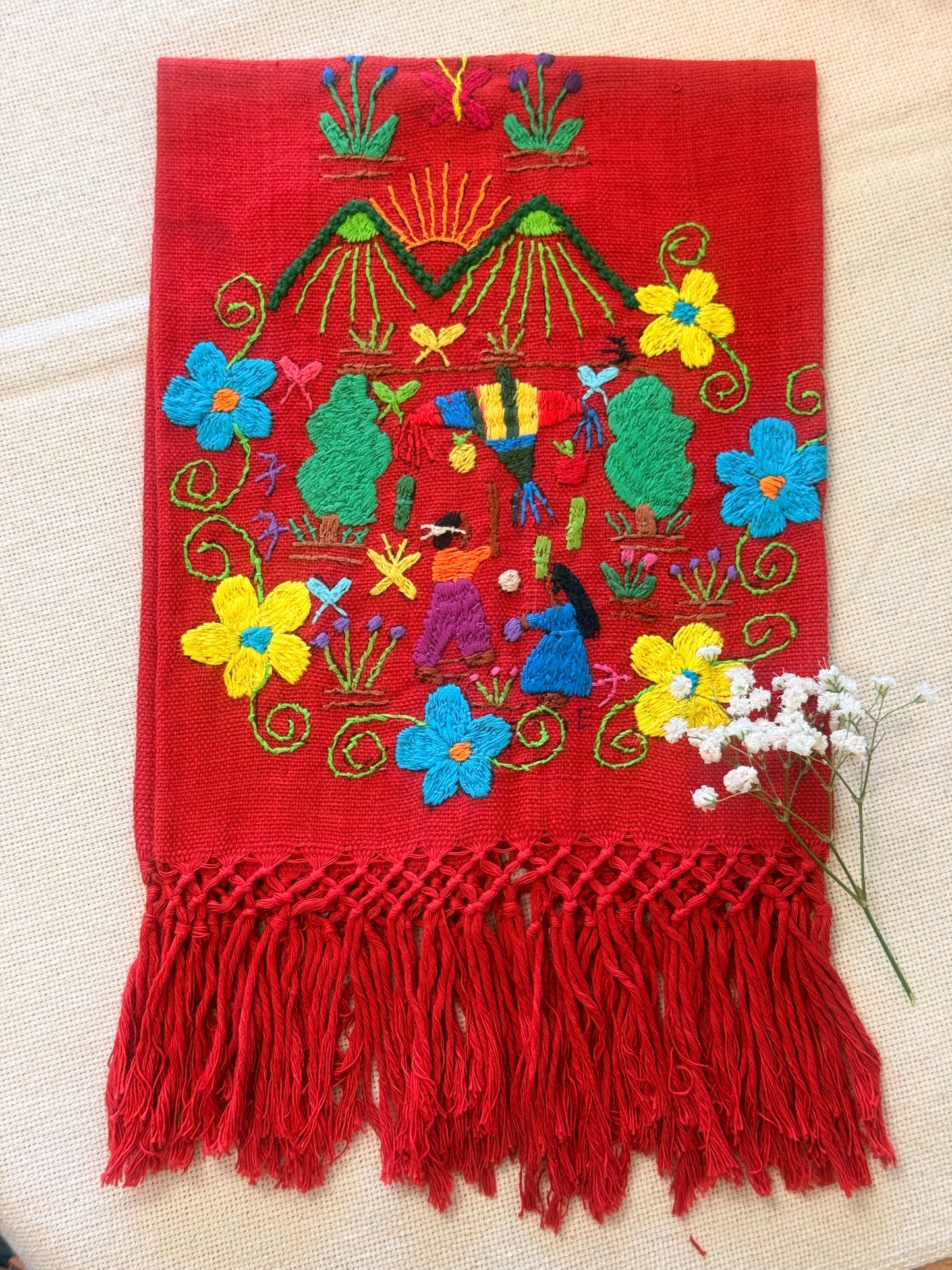 Servilleta de Historia "Pinata"