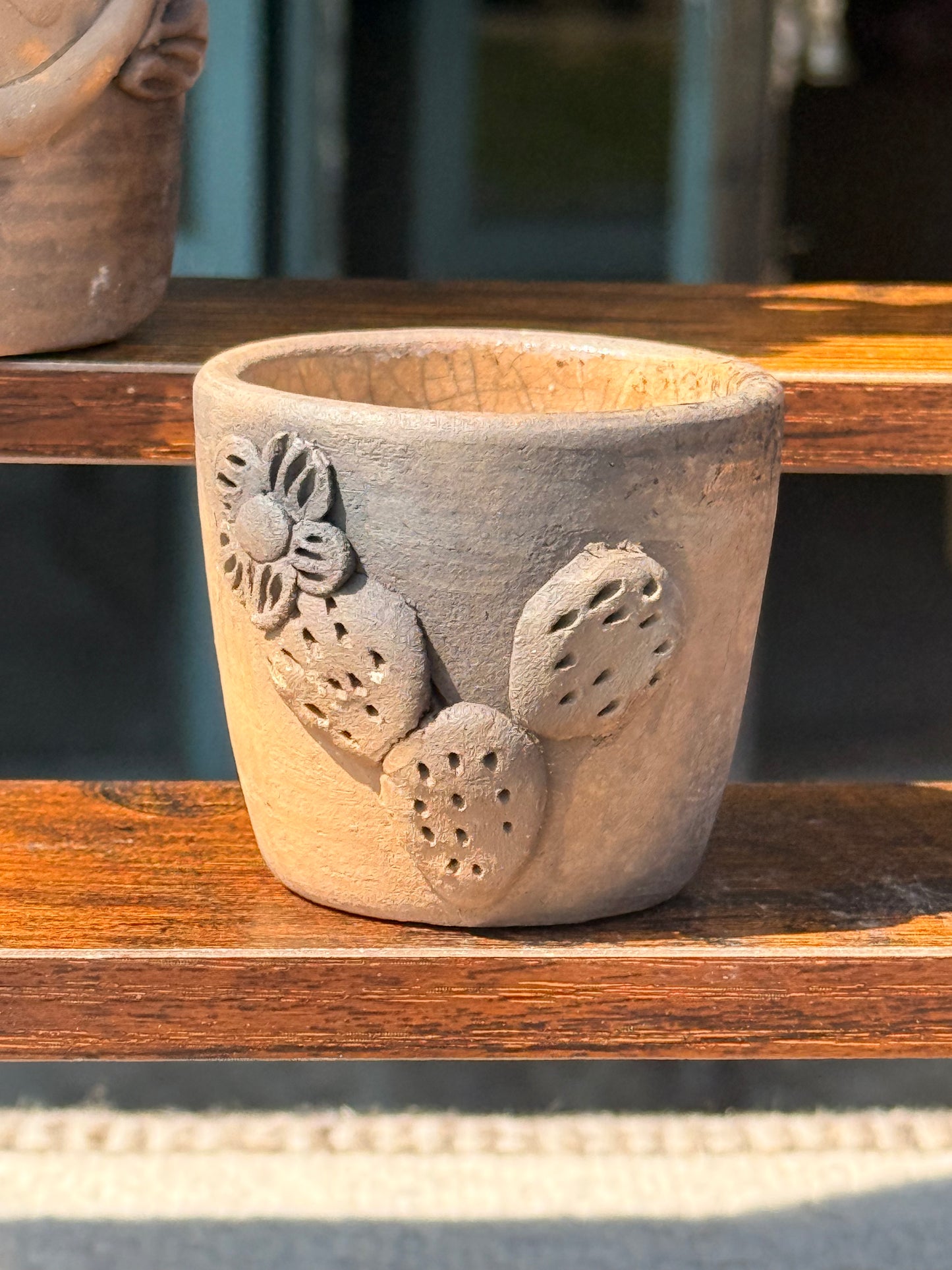 "Cactus" Tequilero