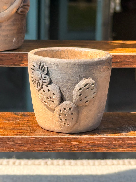 "Cactus" Tequilero